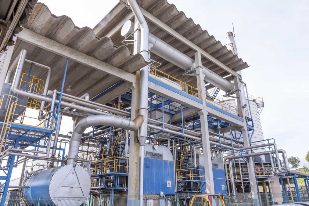 21909308 d6bd 47c2 8ffc 3bc639ecc607