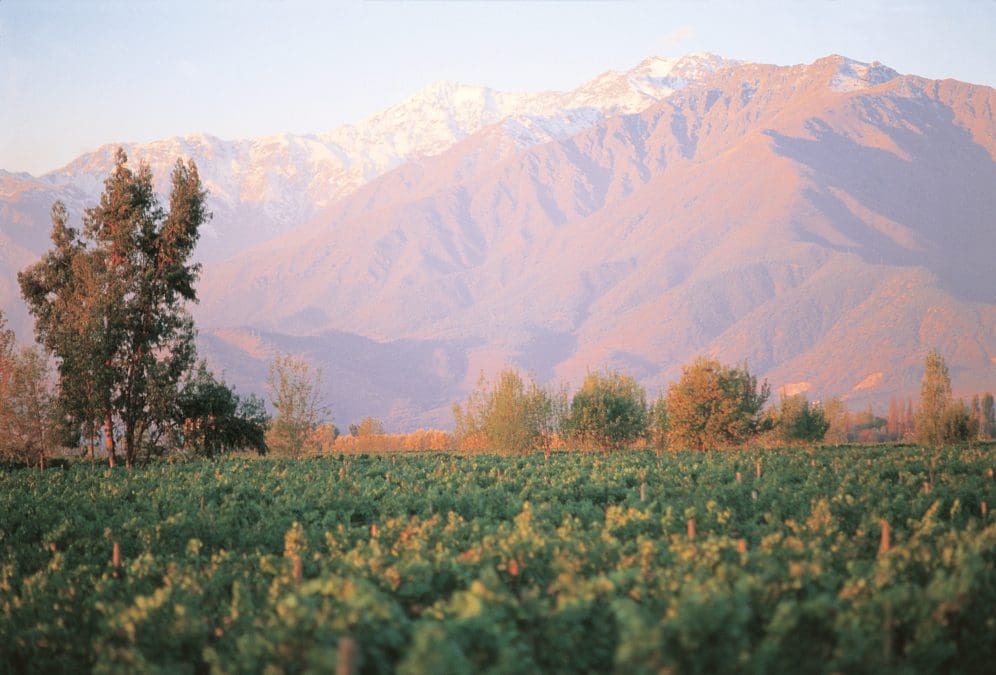 c0e6b495 7209 4caa 8e25 cdd05ac95a26