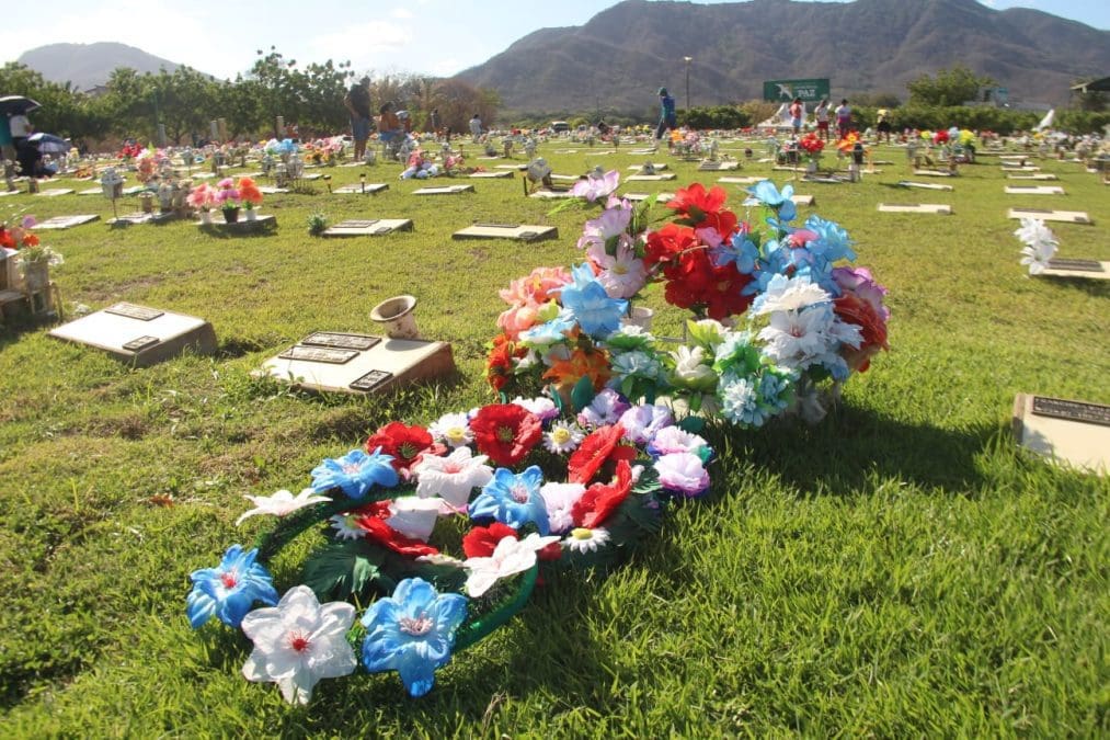 d25c35ed af45 4b85 8197 99464796abd7