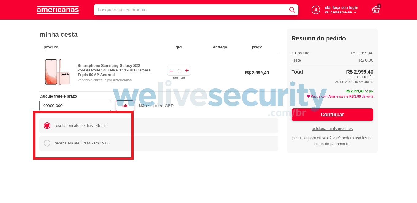 Processo de compra no site falso