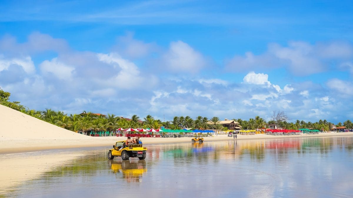 404c4d3e 9146 4bcc 8266 02263f99d5c4