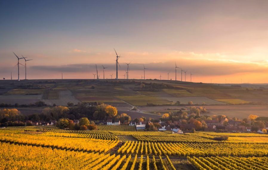 56200602 0b19 4055 a5f7 ad77fe38520f