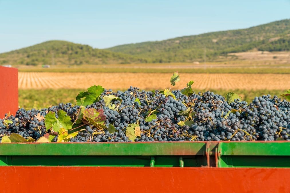 e82195e8 25e8 4d33 8451 87e2564ce456