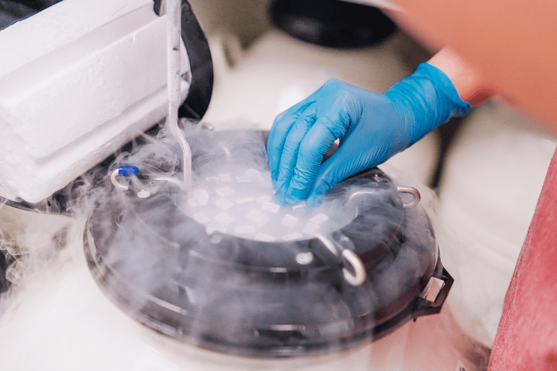 FERTGROUP anuncia a integração da clínica Vida Bem Vinda, que recebe investimento de fundo de private equity da XP