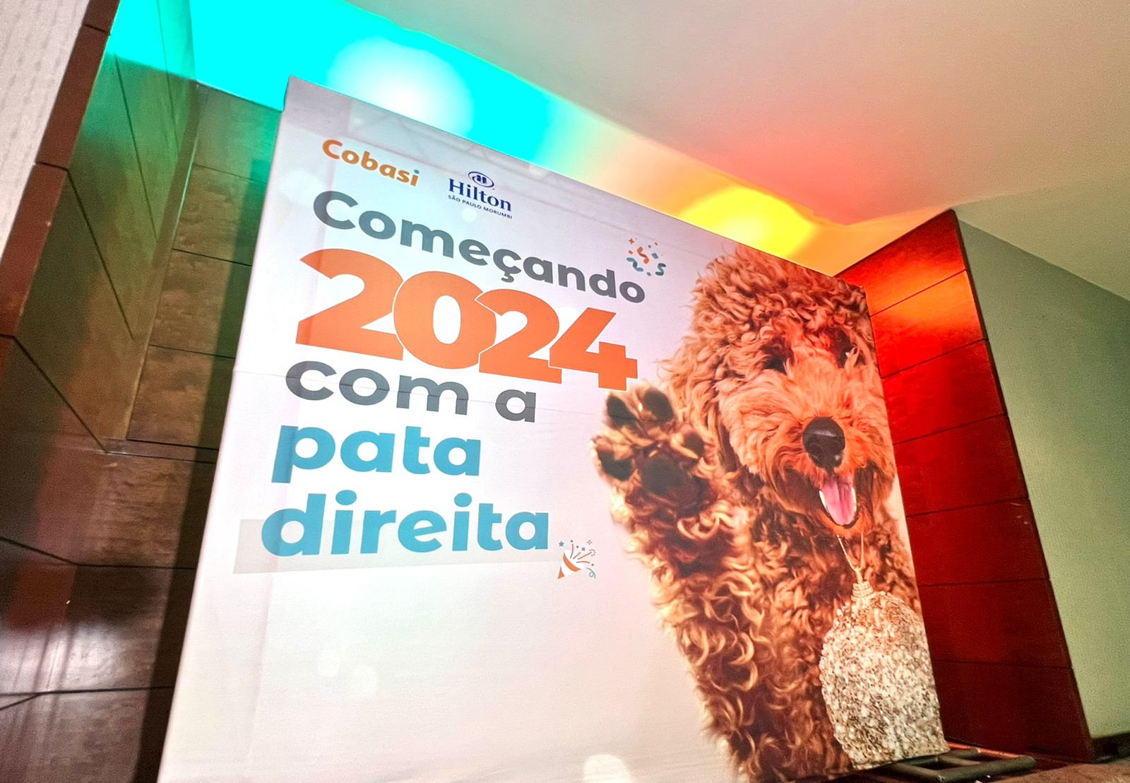 Hilton São Paulo Morumbi inova e lança o primeiro Pet Place voltado para saúde emocional dos cães para o Réveillon em parceria com a Cobasi