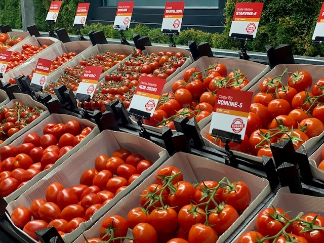 Os visitantes conhecerão mais detalhes de cada variedade – créditos BASF