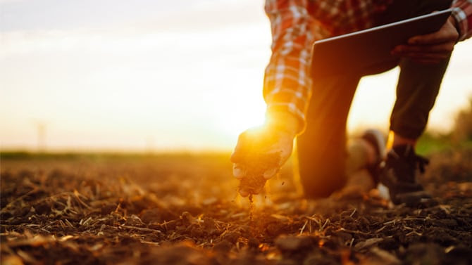 Temas já conhecidos do setor ganham novas aplicações e resultados que pautam o debate da inovação no agro em 2024 (Foto: Adobe Stock)