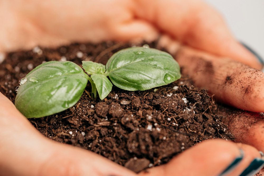 Earth Biome empresa Agtech firma parceria com Illumina para trazer inovação no mercado de agronegócio