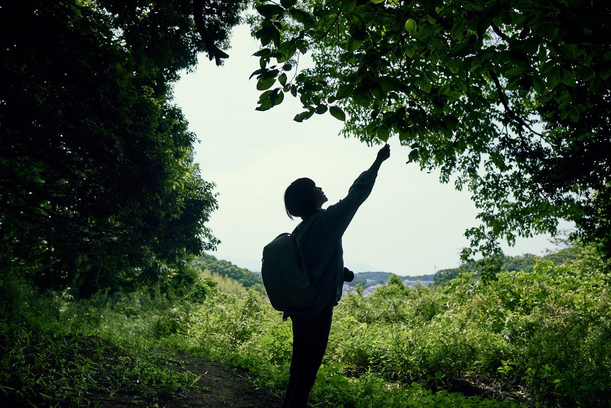 Schneider Electric avança nas metas de sustentabilidade globais e divulga desempenho do segundo trimestre de 2024