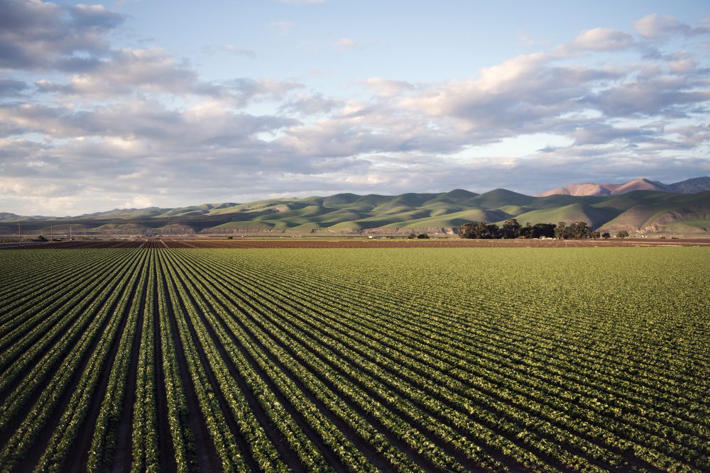 TRAG, inovadora em seguros climáticos para o agro, anuncia rodada de R$2 milhões liderada pela DOMO.VC