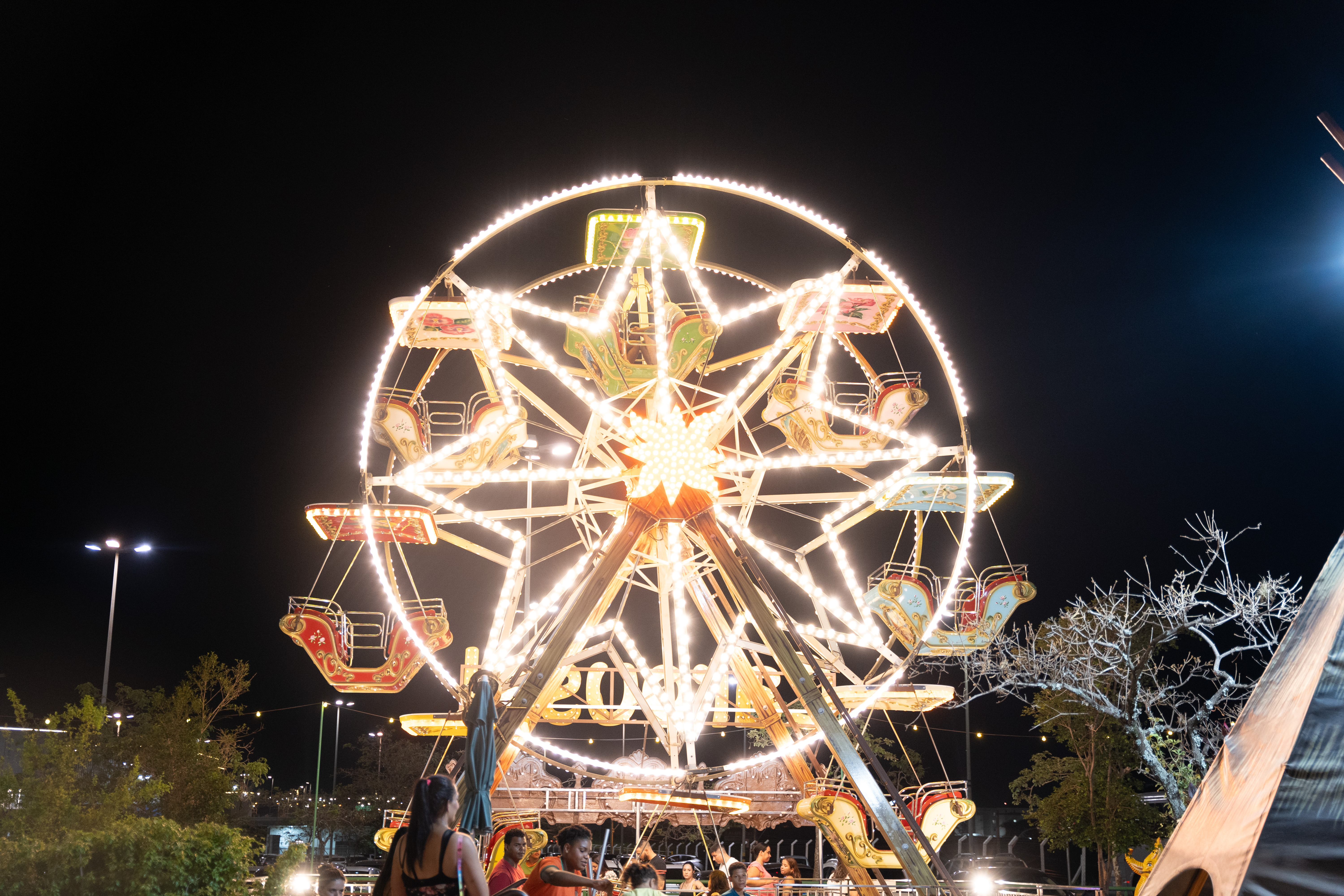 Park do Gorilão completa 23 anos de história Divulgação