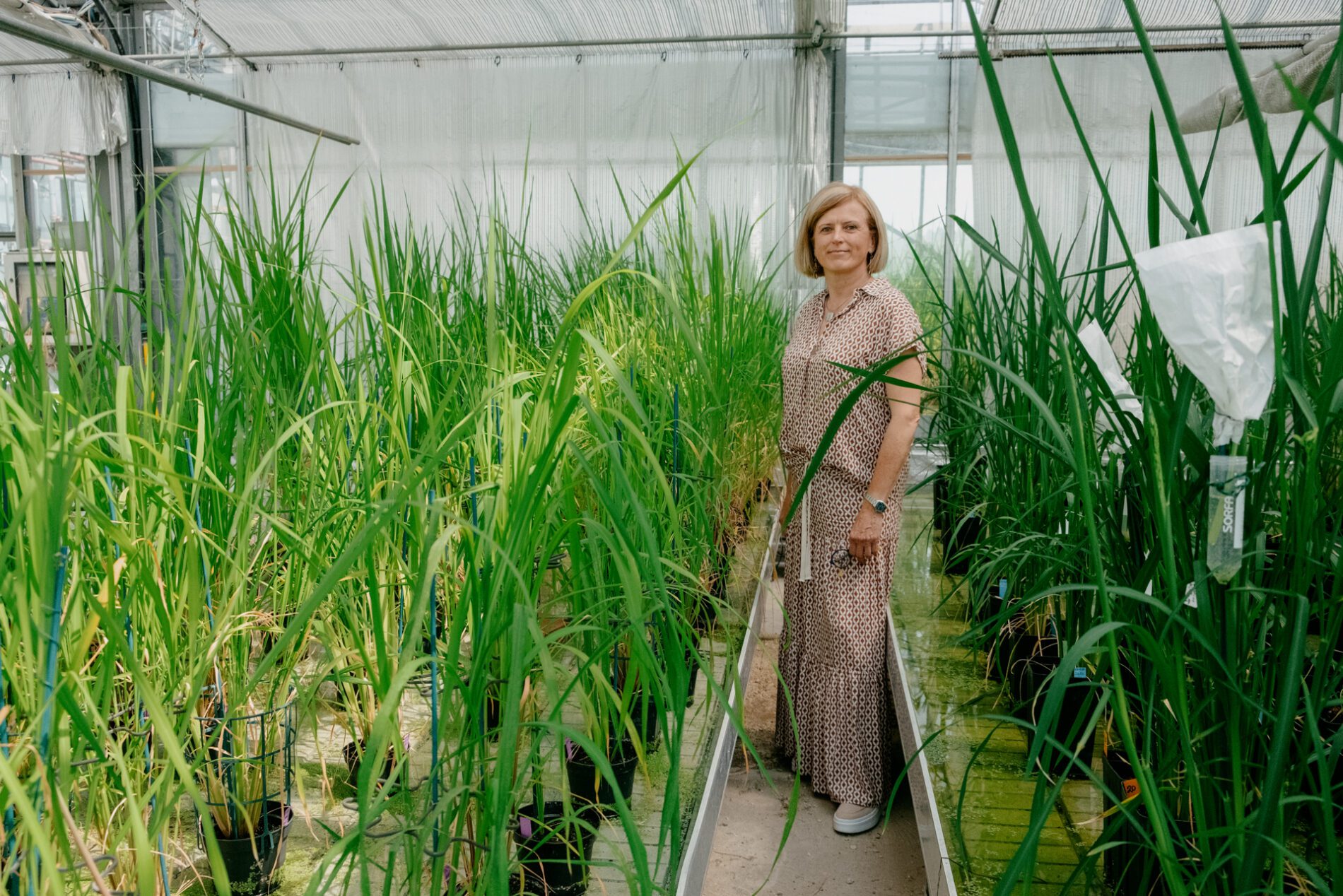 Chris Welsch para a Microsoft.